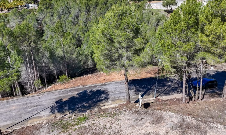 Herverkoop - Plot -
Altea