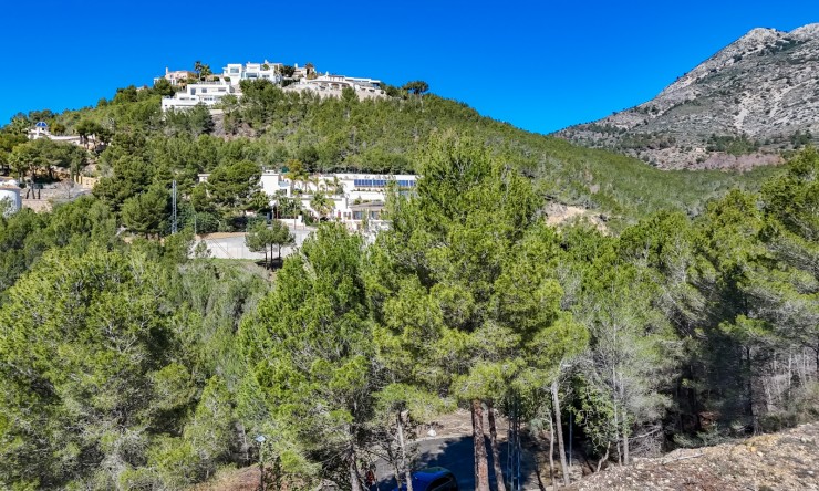 Herverkoop - Plot -
Altea