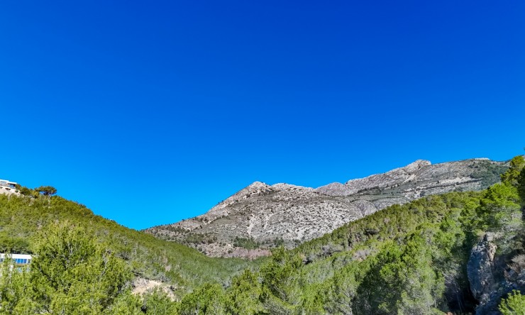 Herverkoop - Plot -
Altea