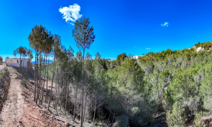 Herverkoop - Plot -
Altea