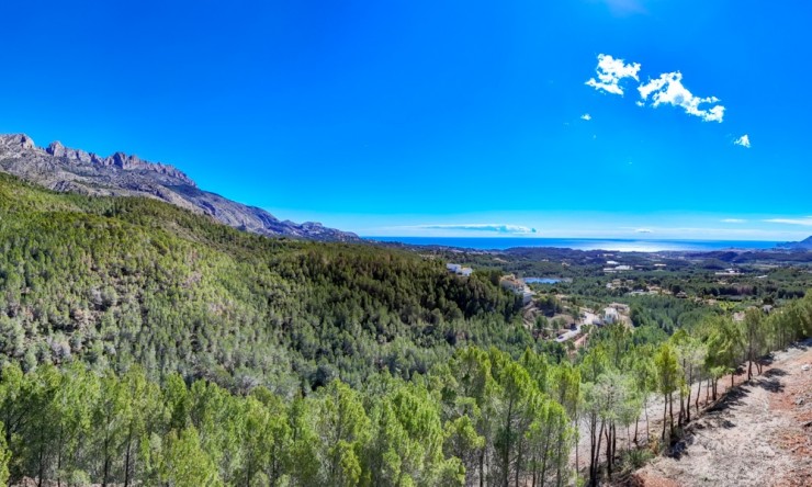 Herverkoop - Plot -
Altea