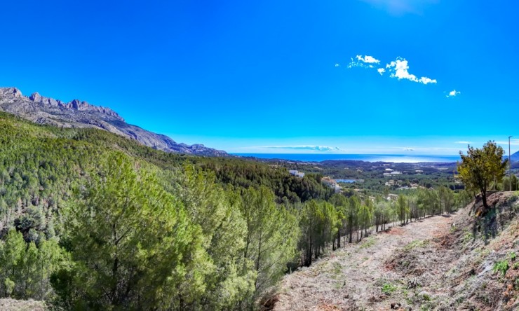 Herverkoop - Plot -
Altea