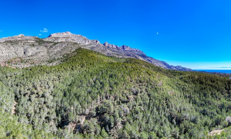 Herverkoop - Plot -
Altea