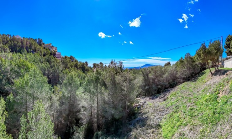 Herverkoop - Plot -
Altea