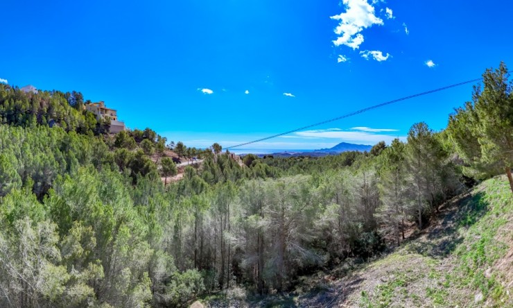 Herverkoop - Plot -
Altea