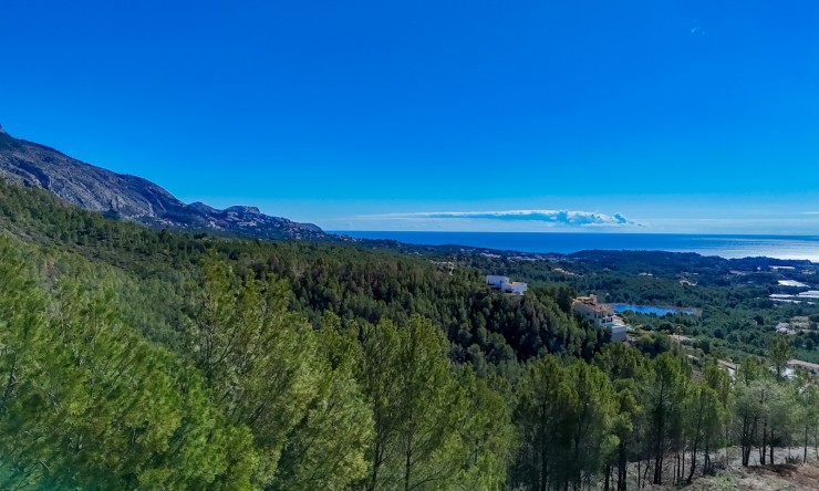Herverkoop - Plot -
Altea