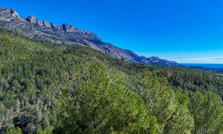 Herverkoop - Plot -
Altea