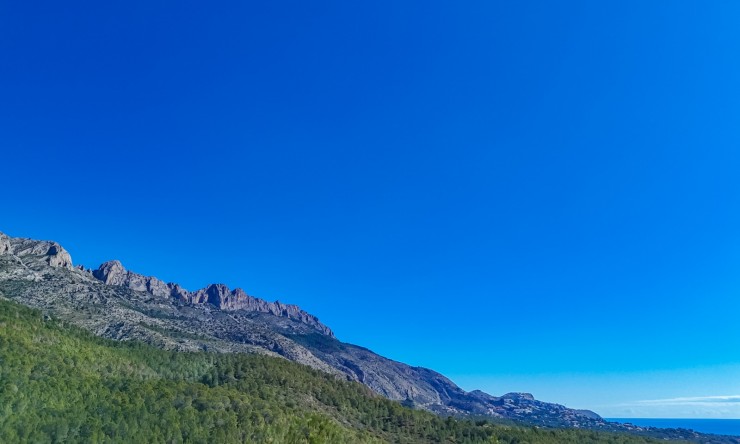 Herverkoop - Plot -
Altea