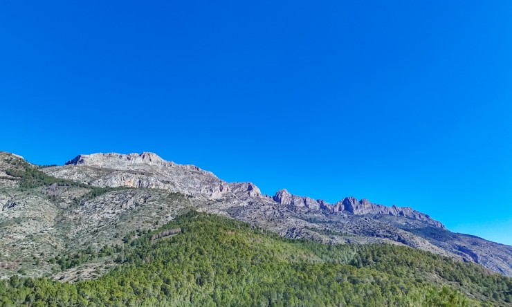 Herverkoop - Plot -
Altea
