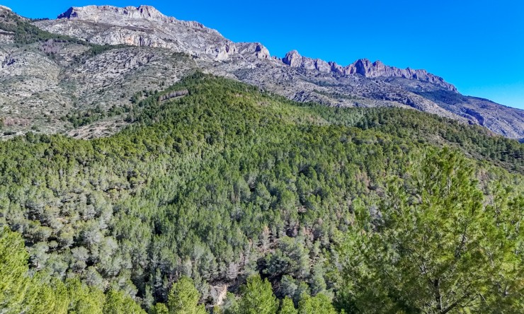 Herverkoop - Plot -
Altea
