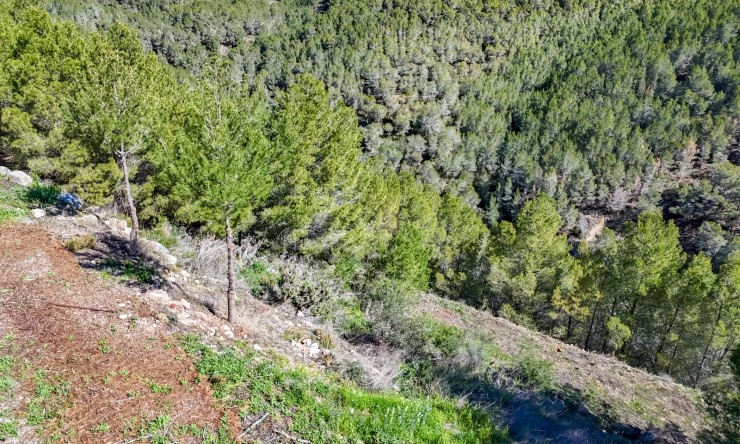 Herverkoop - Plot -
Altea