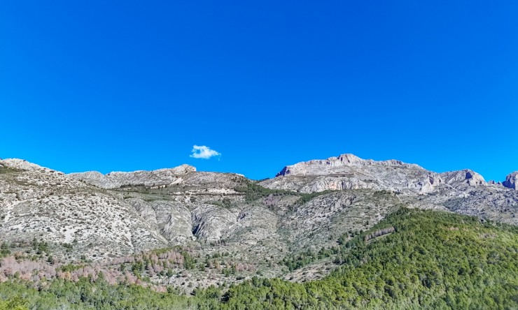 Herverkoop - Plot -
Altea