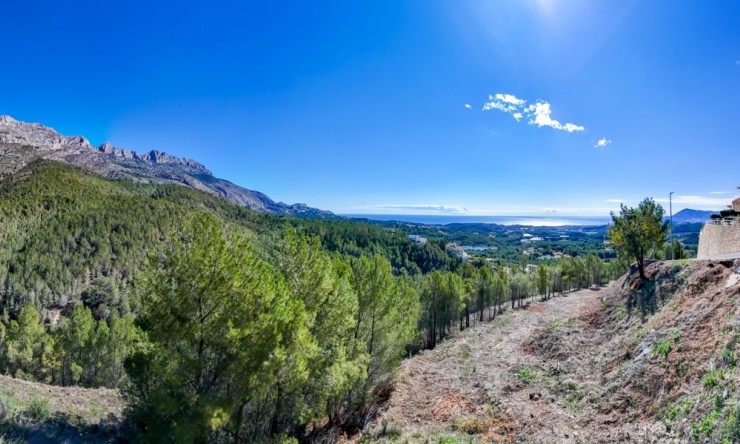 Herverkoop - Plot -
Altea