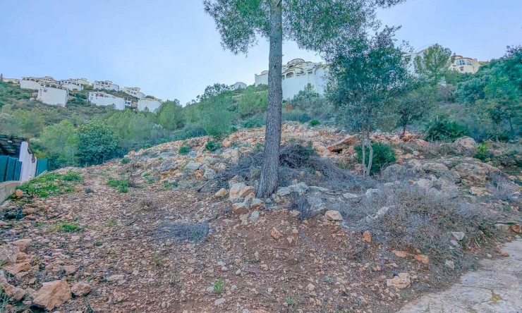 Reventa - Parcela -
Pego - Monte Pego