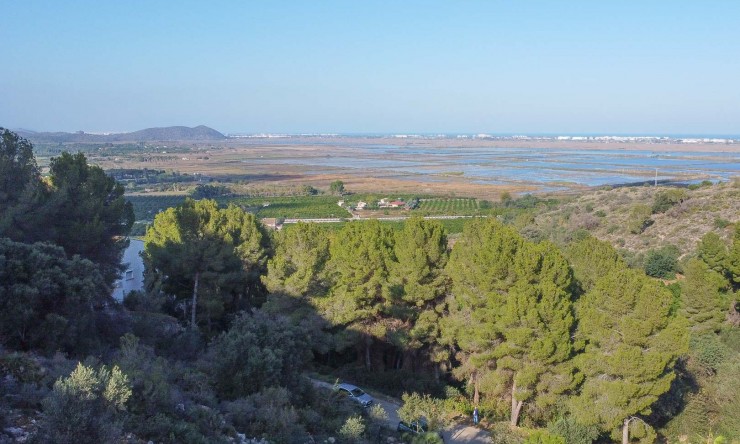 Reventa - Parcela -
Pego - Monte Pego