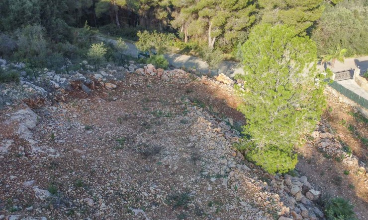 Reventa - Parcela -
Pego - Monte Pego