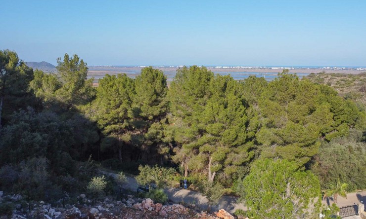 Reventa - Parcela -
Pego - Monte Pego