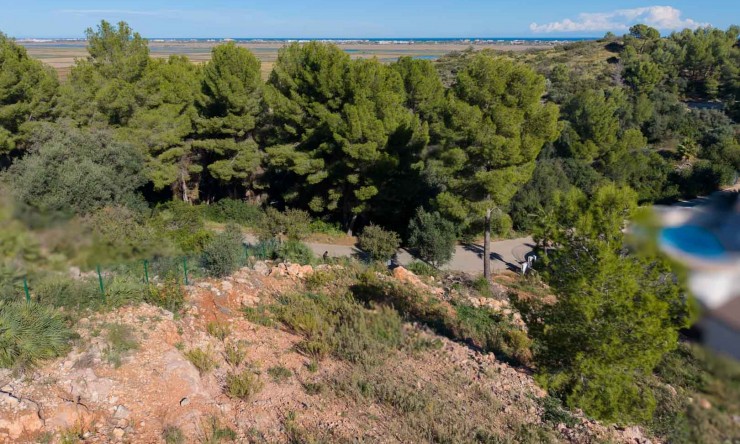 Reventa - Parcela -
Pego - Monte Pego