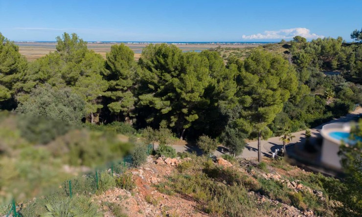 Reventa - Parcela -
Pego - Monte Pego