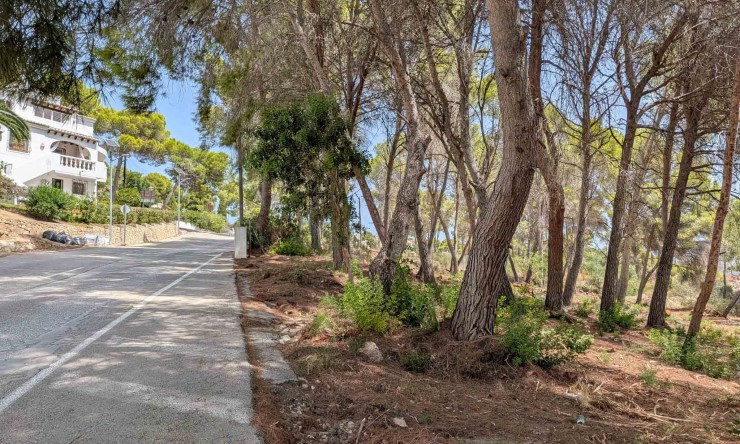 Reventa - Parcela -
Moraira - Pinar del Advocat
