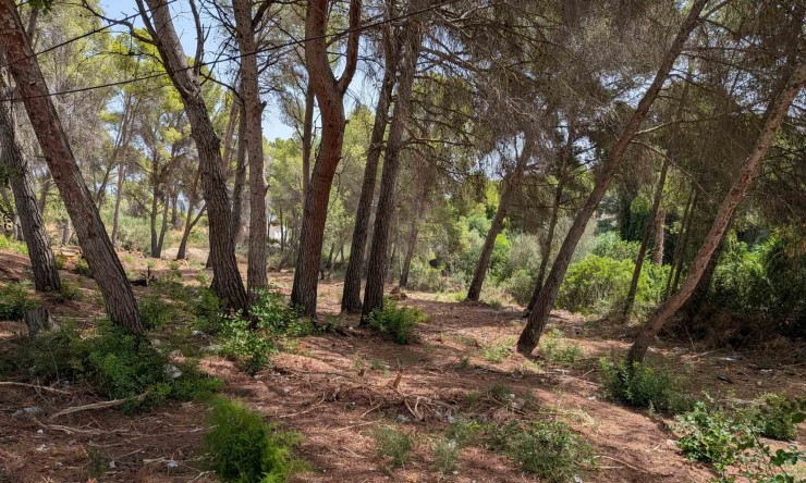 Reventa - Parcela -
Moraira - Pinar del Advocat