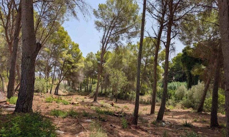 Reventa - Parcela -
Moraira - Pinar del Advocat