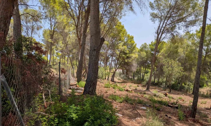 Reventa - Parcela -
Moraira - Pinar del Advocat