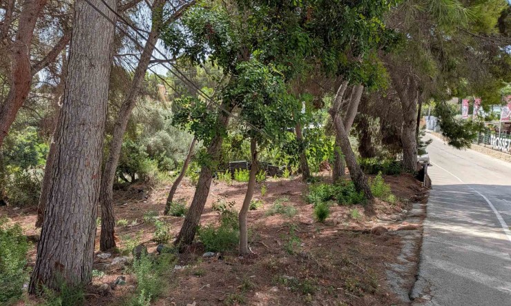 Reventa - Parcela -
Moraira - Pinar del Advocat