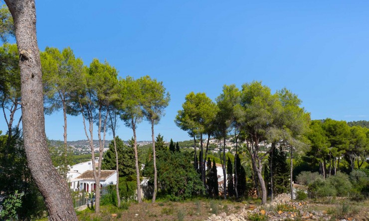 Revente - Tracé -
Jávea - La Lluca