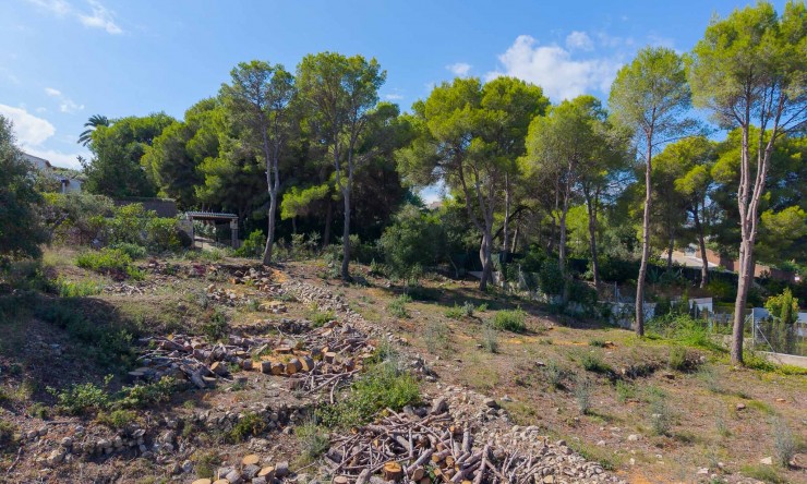 Revente - Tracé -
Jávea - La Lluca