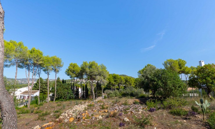 Revente - Tracé -
Jávea - La Lluca