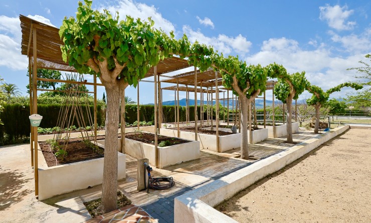 Reventa - Villa -
Jávea / Xàbia - Partida Tosal - Zona dels Castellans