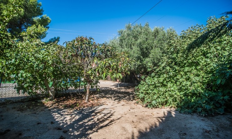 Reventa - Villa -
ORIHUELA - Redovan
