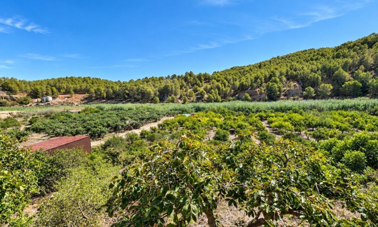 Revente - Maison de campagne -
Altea - Altea La Vella