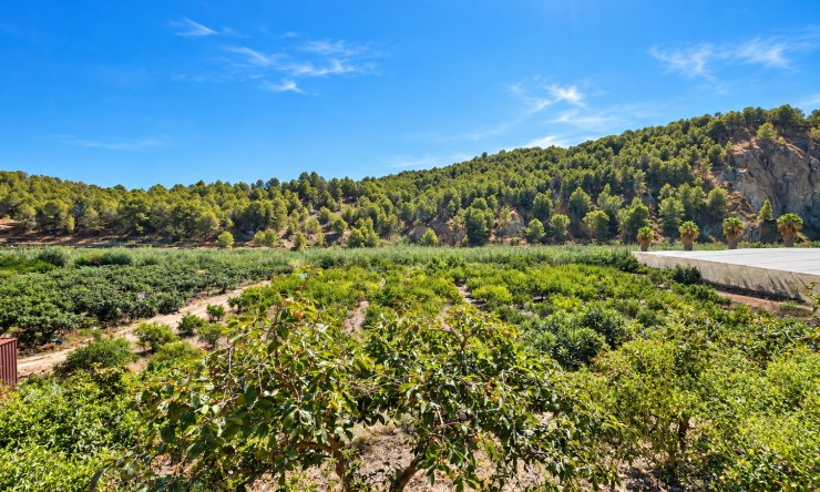 Revente - Maison de campagne -
Altea - Altea La Vella