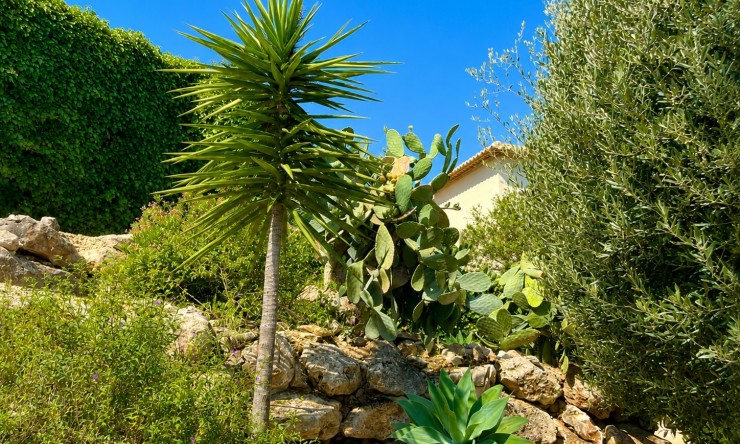 Revente - Villa -
Jávea / Xàbia - La Granadella  - Costa Nova