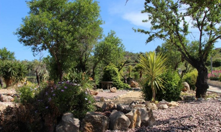 Reventa - Hotel -
Lliber