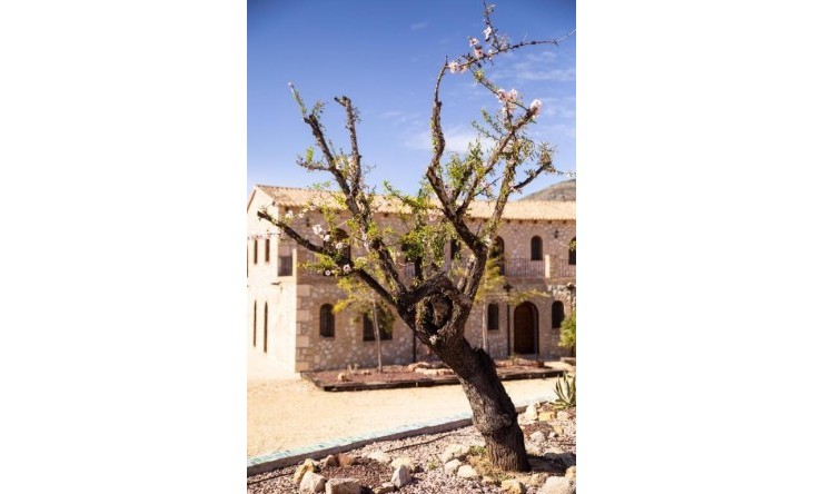 Reventa - Hotel -
Lliber