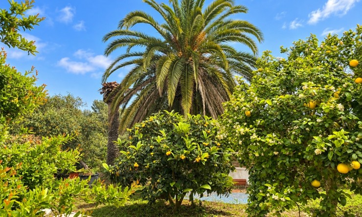 Wiederverkauf - Villa -
Jávea / Xàbia - Cap Martí - El Tossalet - Pinomar