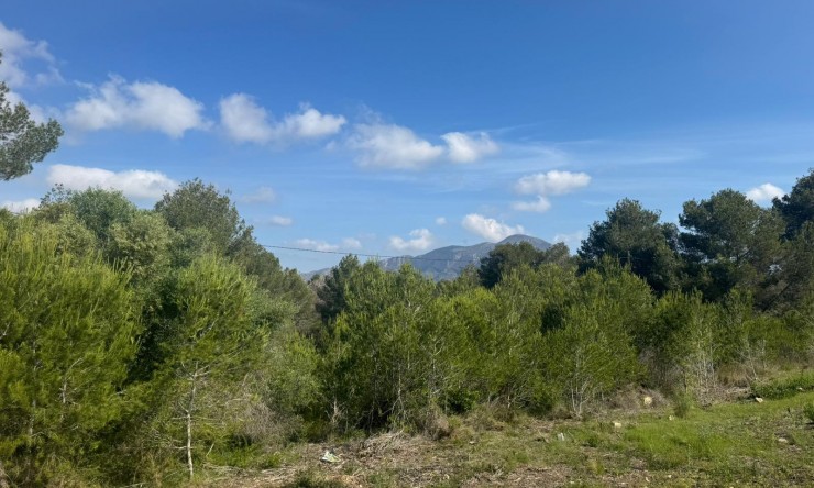 Wiederverkauf - Bauland -
Jávea / Xàbia - Partides comunes - Adsubia