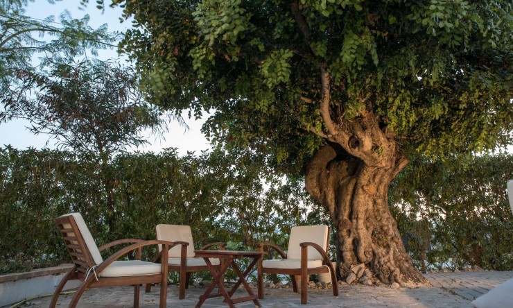 Herverkoop - Restaurant -
Jávea / Xàbia - Montgó - Ermita