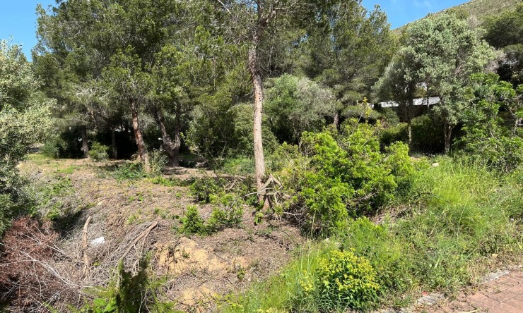 Revente - Terrain urbain -
Jávea / Xàbia - Cap Martí - El Tossalet - Pinomar
