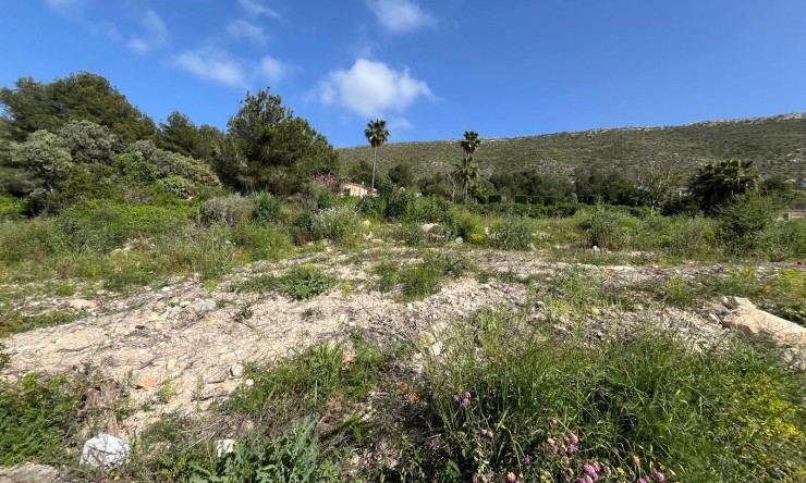 Revente - Terrain urbain -
Jávea / Xàbia - Cap Martí - El Tossalet - Pinomar