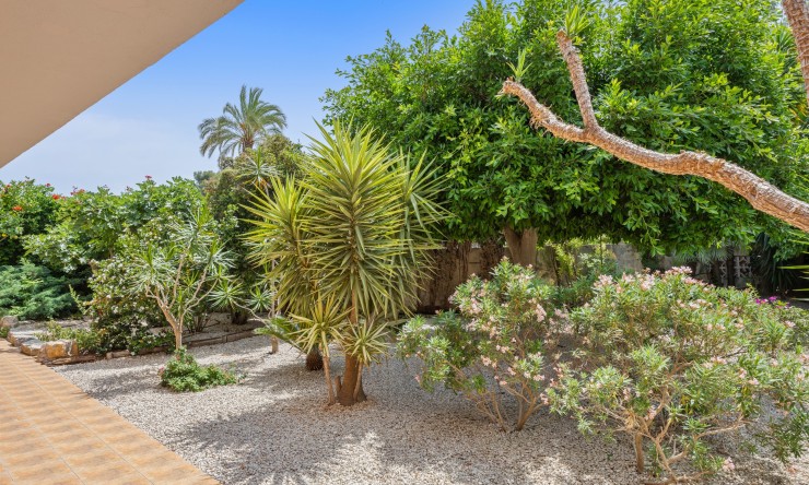 Resale - Villa -
Denia - El Puerto