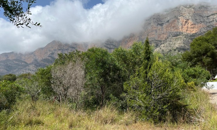 Wiederverkauf - Bauland -
Jávea / Xàbia - Montgó - Ermita