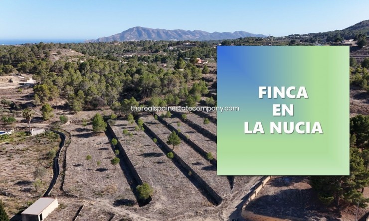 Resale - Rural Land -
La Nucía - La Nucia Pueblo