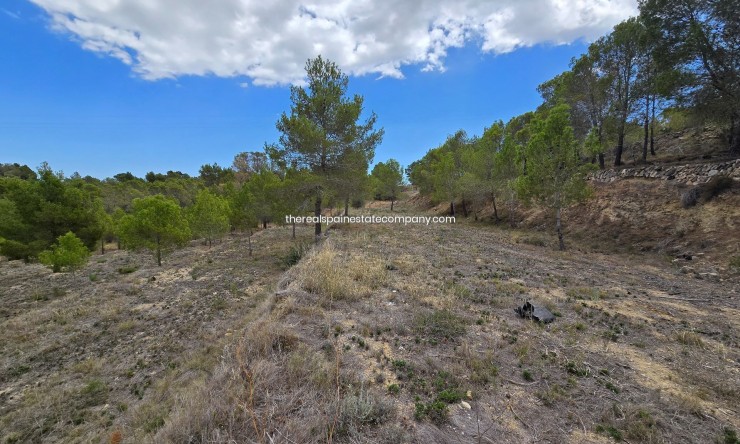 Resale - Rural Land -
La Nucía - La Nucia Pueblo