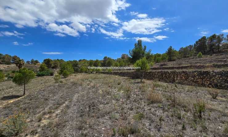 Resale - Rural Land -
La Nucía - La Nucia Pueblo
