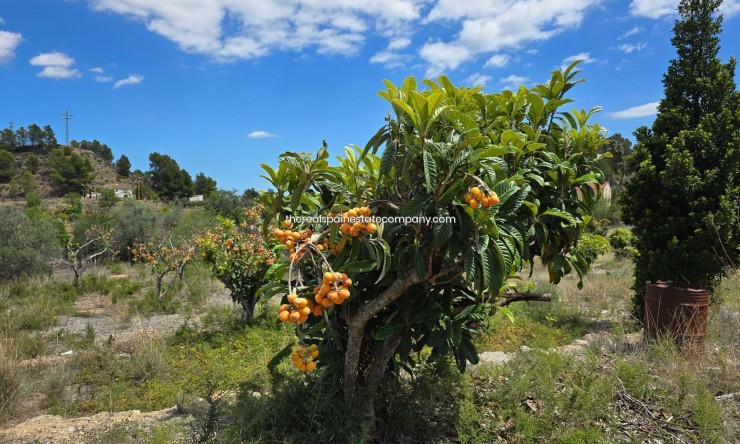 Resale - Rural Land -
La Nucía - La Nucia Pueblo