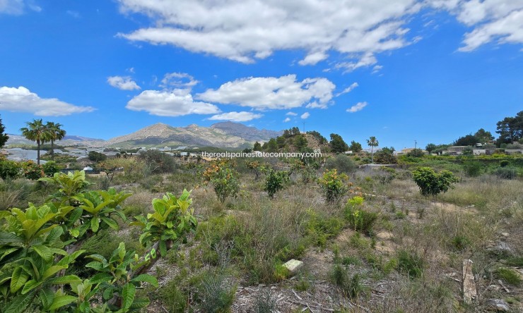 Resale - Rural Land -
La Nucía - La Nucia Pueblo